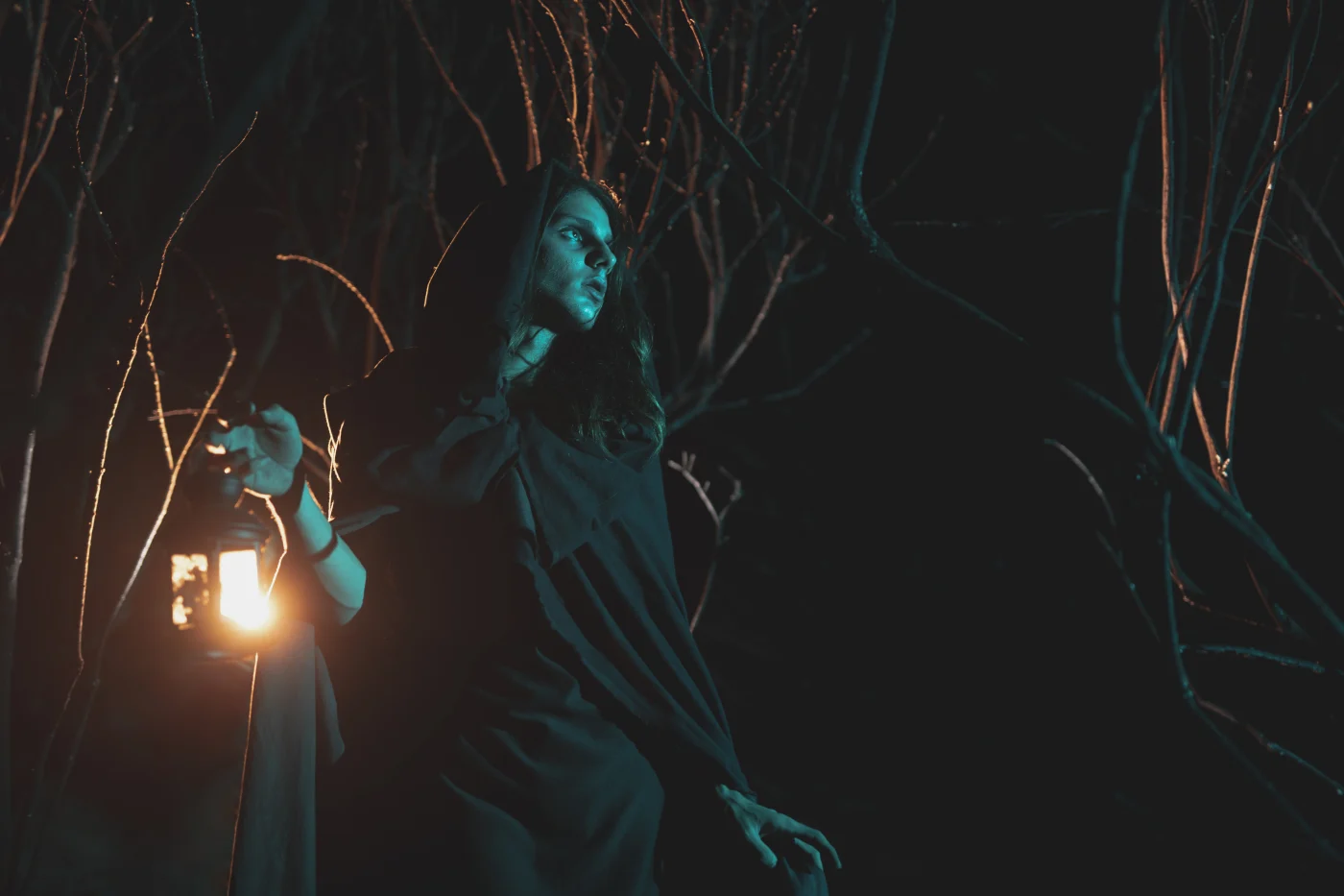 Man in cloak holds lantern and walks through dark woods